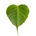 Hanging Bodhi Leaf