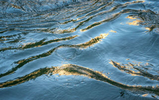 Wings of Fire by Rex Naden